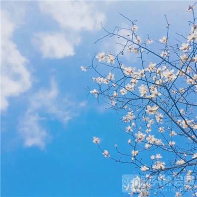 bob半岛·体育中国官方网站