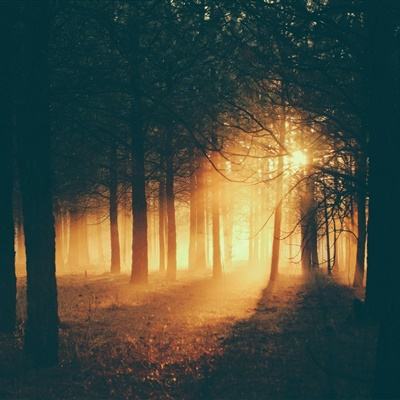 B sport官方下载入口